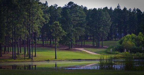 Carolina Pine Near Southern Pines-pinehurst 2*